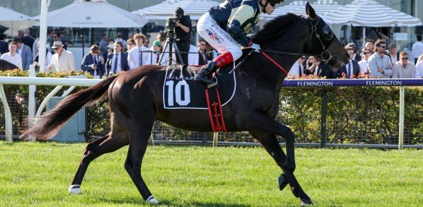 Melbourne Cup fancy a likely Moonee Valley starter