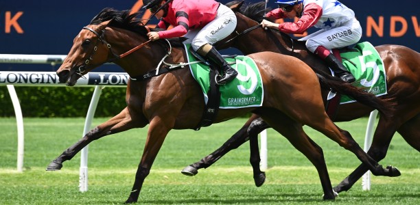 Winter launchpad for spring-bound filly