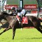 Sydney travel test for Queensland sprinter