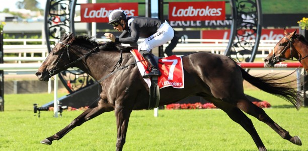 Sydney travel test for Queensland sprinter