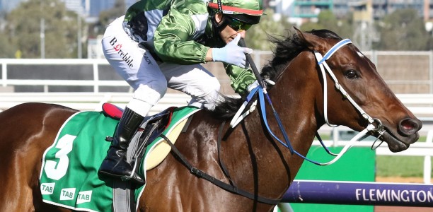 Incentivise set for new role post racing