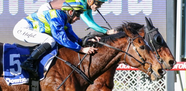 Flash Flood notches winning hat-trick