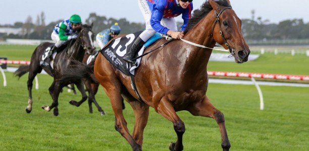 Mick Price chases Cox Plate start with unbeaten Globe