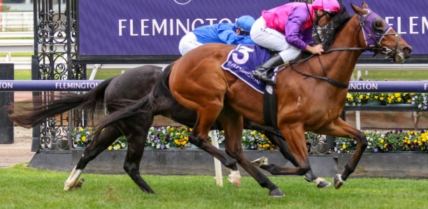 Aurie’s Star Handicap tipped to be a lottery for punters