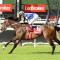 Ucalledit not a certain Missile Stakes starter