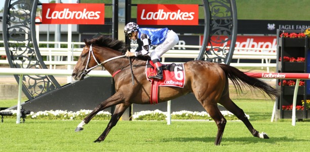 Ucalledit not a certain Missile Stakes starter