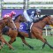 It’sourtime to shine at Flemington