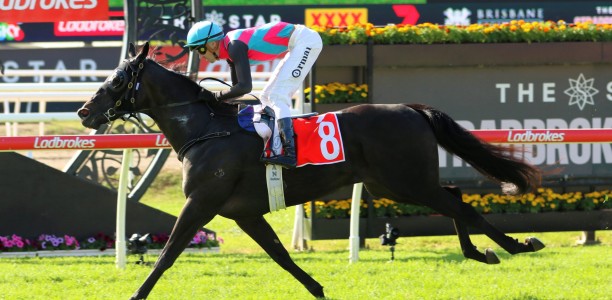 Tony Gollan plots a path for his rising star Antino