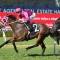 Looking for those new season youngsters to bloom on Rosebud Day
