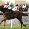 Naas test for Melbourne Cup favourite Vauban