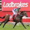 Uncle Bryn ready for Lawrence Stakes resumption