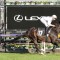 Cups pair show Flare in trial at Cranbourne