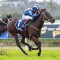 Bakranich seeks a change of fortune for Nerodio