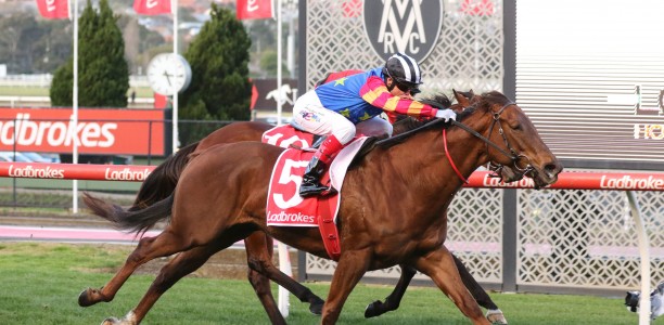 Manikato Stakes the spring target for Bella Nipotina