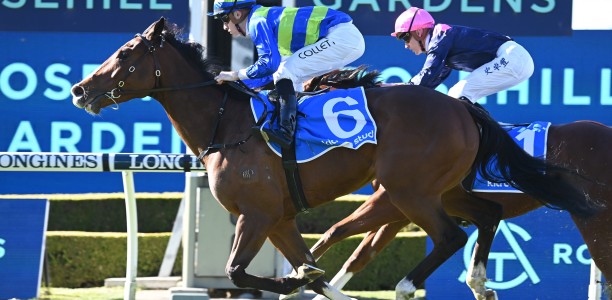 Lightly raced import back on song