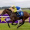 Lindsay Park import to kick-off at The Valley