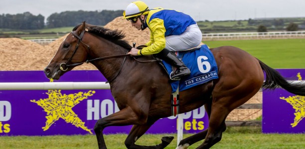Lindsay Park import to kick-off at The Valley