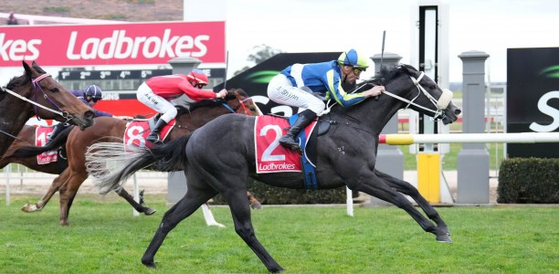 Import out to be Master of The Valley