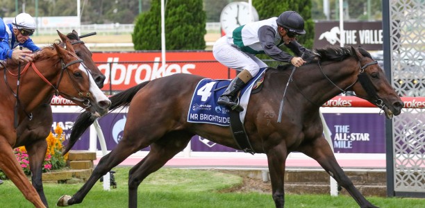 Mr Brightside set for Spring riches