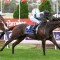 G2 WFA racing at Caulfield with PB Lawrence Stakes Day