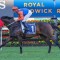 Think It Over back from long layoff