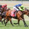 Freedmans gang tackle Quezette Stakes