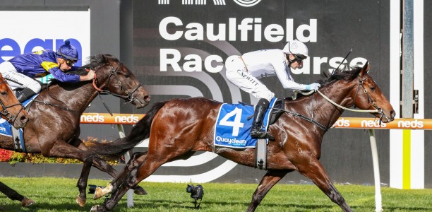 Fitness a plus in Vain Stakes