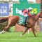 Iphimedia targets early filly’s races