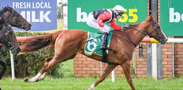 Iphimedia targets early filly’s races