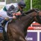 Mr Brightside backed at short odds in the PB Lawrence Stakes