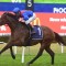 Zaaki heavily backed in the Winx Stakes