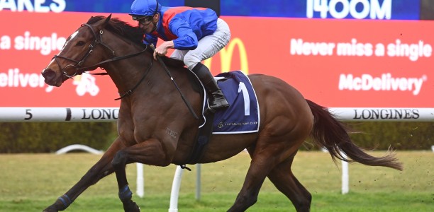 Zaaki heavily backed in the Winx Stakes