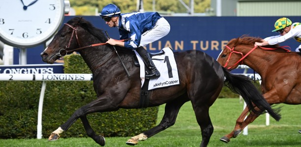 Buenos Noches puts name forward for slot in The Everest