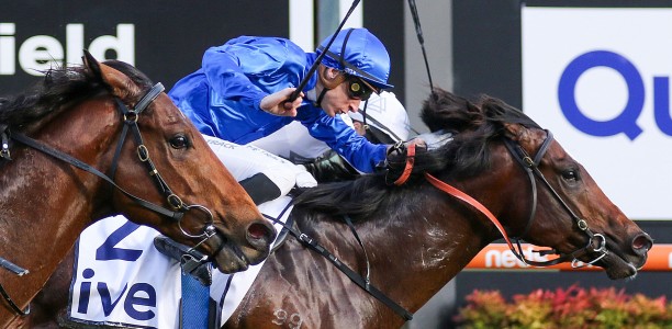 Cylinder prevails in Vain Stakes photo