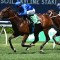 James Cummings expects Corniche to come out swinging