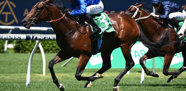 James Cummings expects Corniche to come out swinging