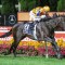 Imperatriz on track for McEwen Stakes