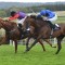A Royal runner in this year’s Melbourne Cup?