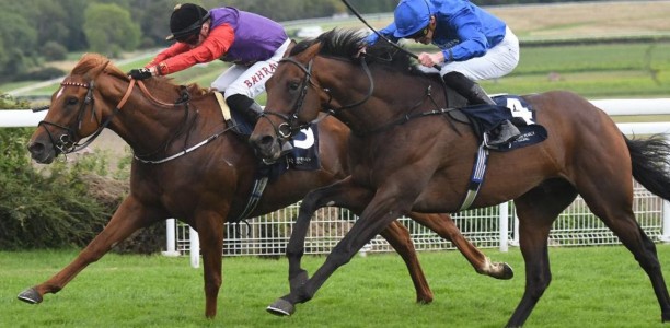 A Royal runner in this year’s Melbourne Cup?