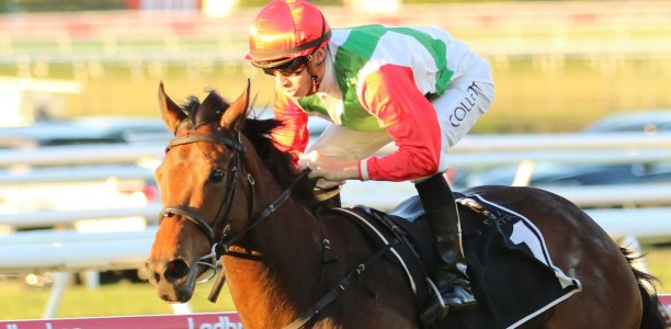 Fireburn poised for Tramway Stakes return