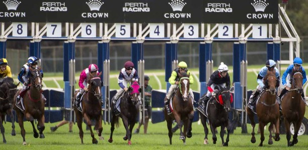 Jolly Beggar Stakes