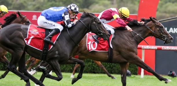 Memsie Stakes pair get look at Caulfield