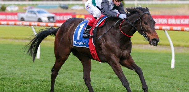 Fitter Brightside for Memsie shot