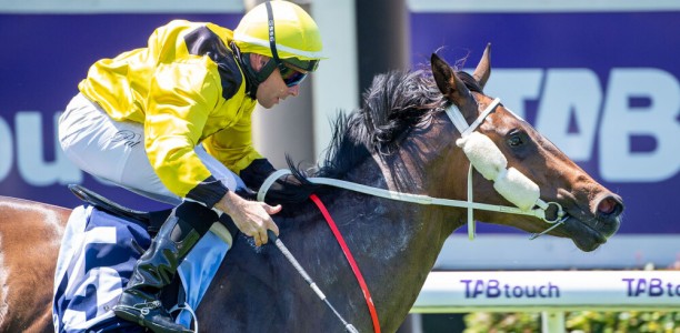 My Bella Mae to rebound in Jolly Beggar Stakes