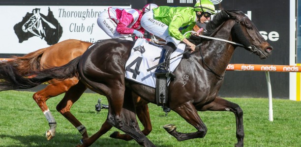Double shot at Memsie Stakes prize