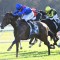 John Sargent pair to lay spring markers