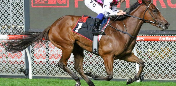 Cockram Stakes kick off for Papillon Club