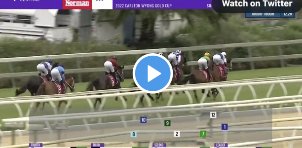 Wyong Cup results and replay – 2023
