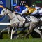 Benaud claims eventful Wyong Cup