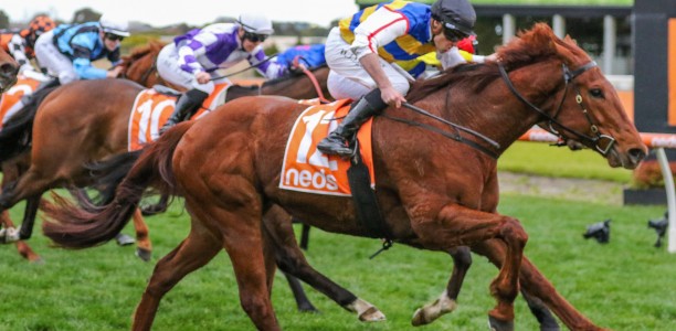 Heatherlie Stakes a wide open betting race